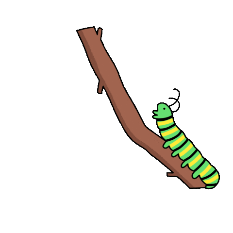 butterfly gif